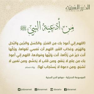 اللهم إني أعوذ بك من العجز والكسل